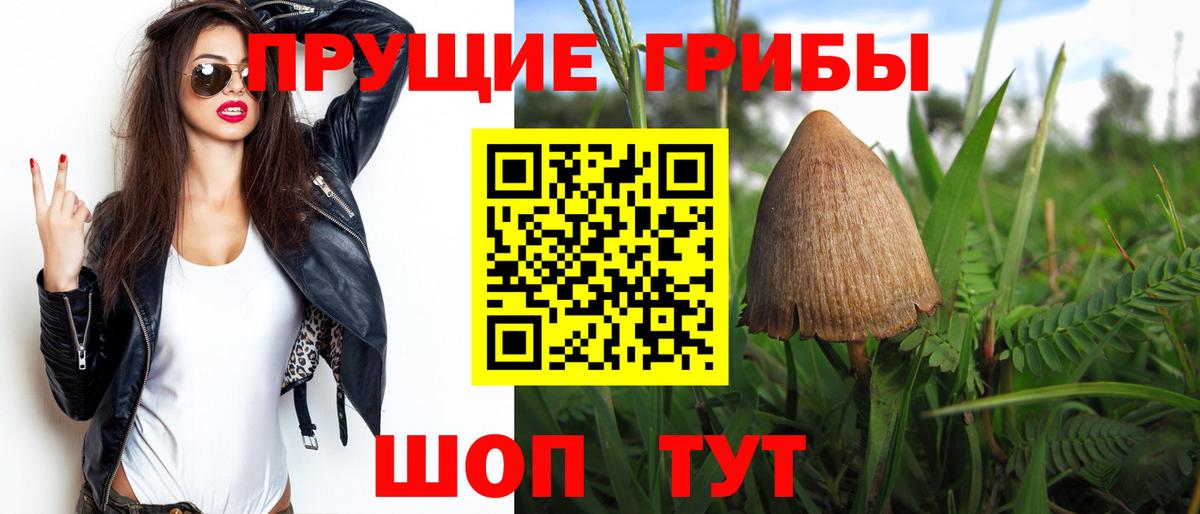 Псилоцибиновые грибы Magic Shrooms Ростов Великий